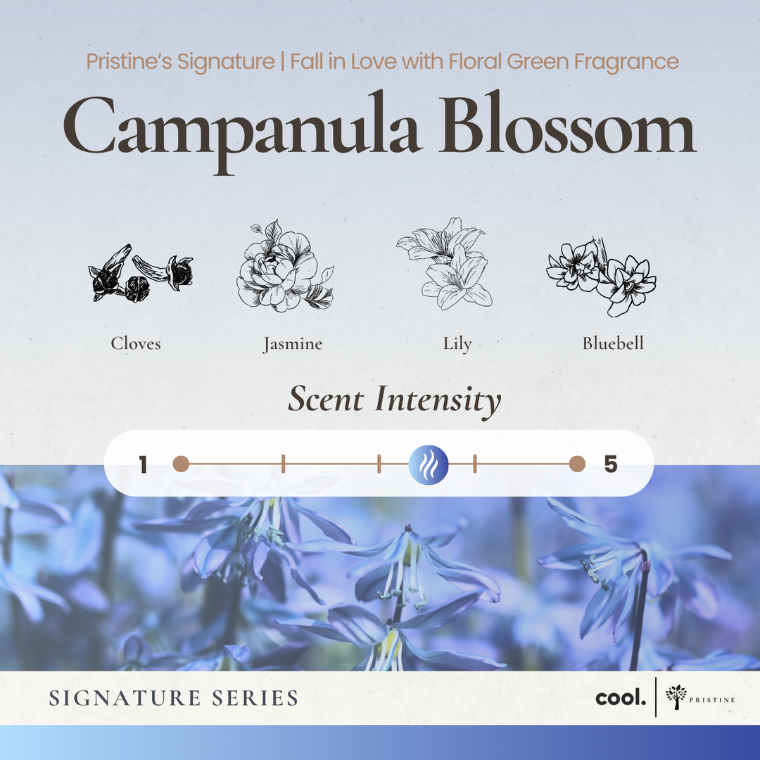 4-Pack Signature Aroma Concentrate Set