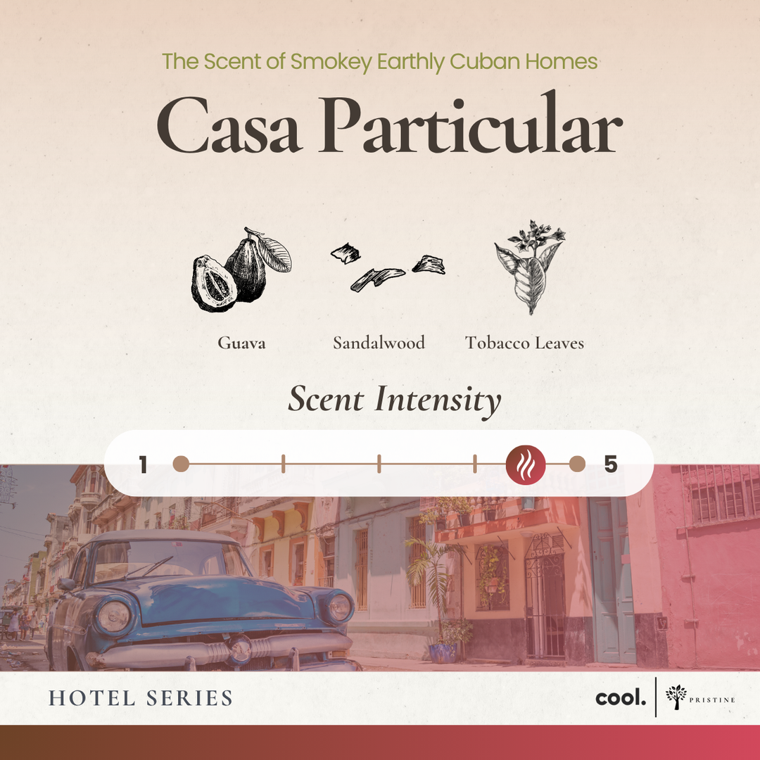 Casa Particular Reed Diffuser - 6oz