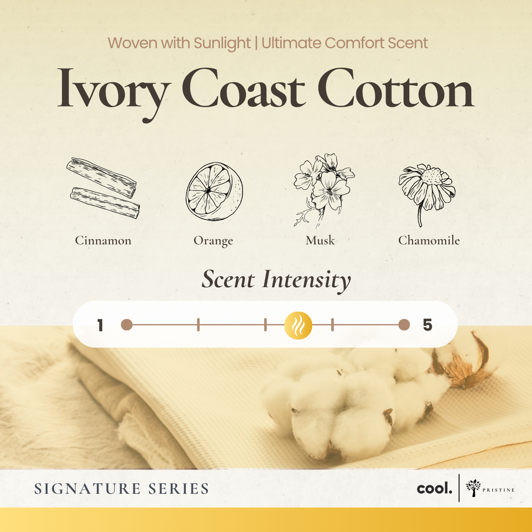 4-Pack Signature Aroma Concentrate Set