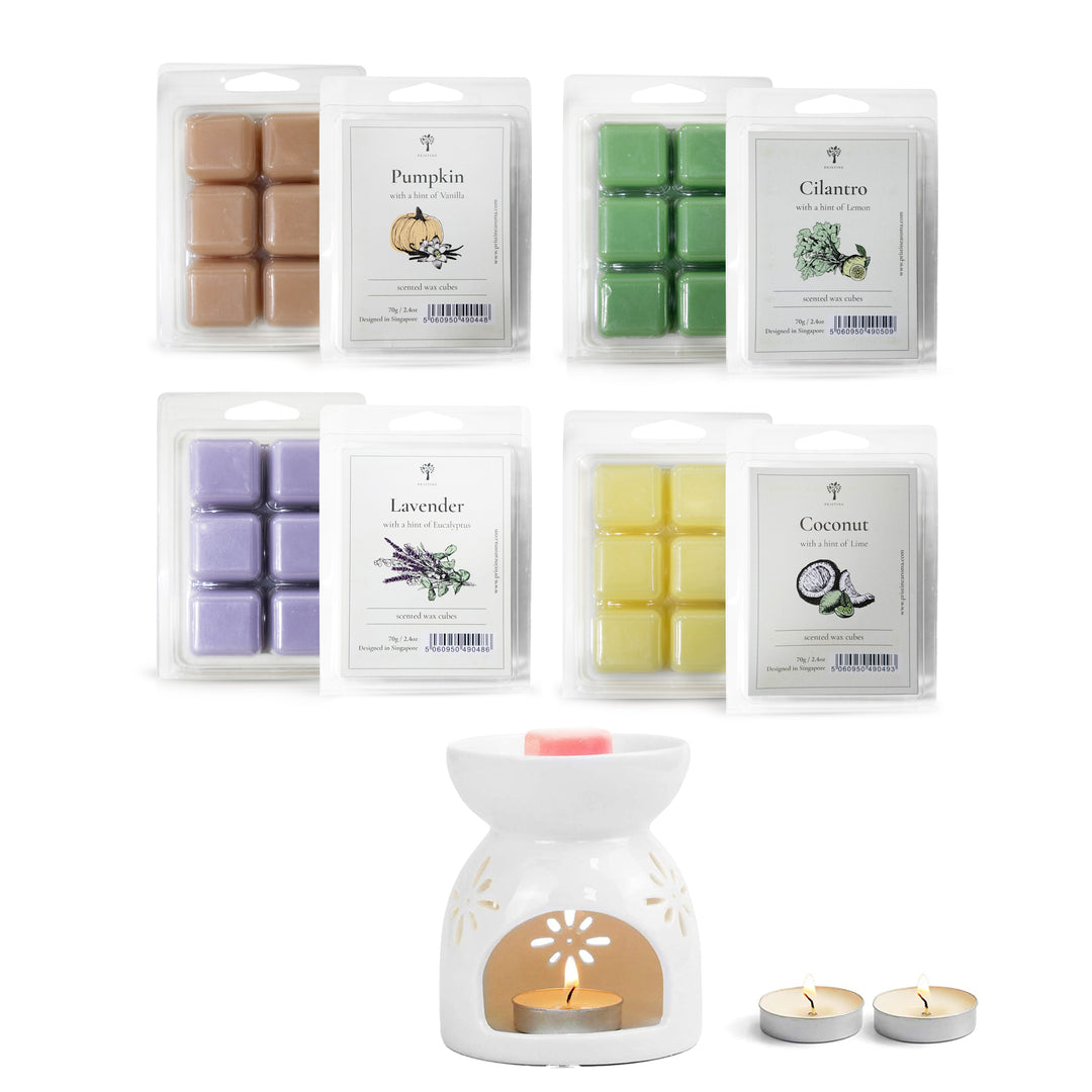 Wax Melt 4-Pack + Ceramic Burner Set