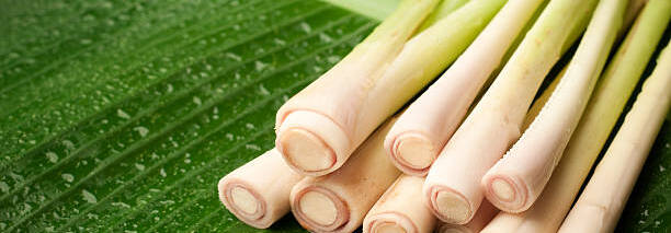 Lemongrass