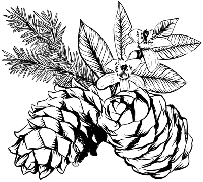 Santal Noir