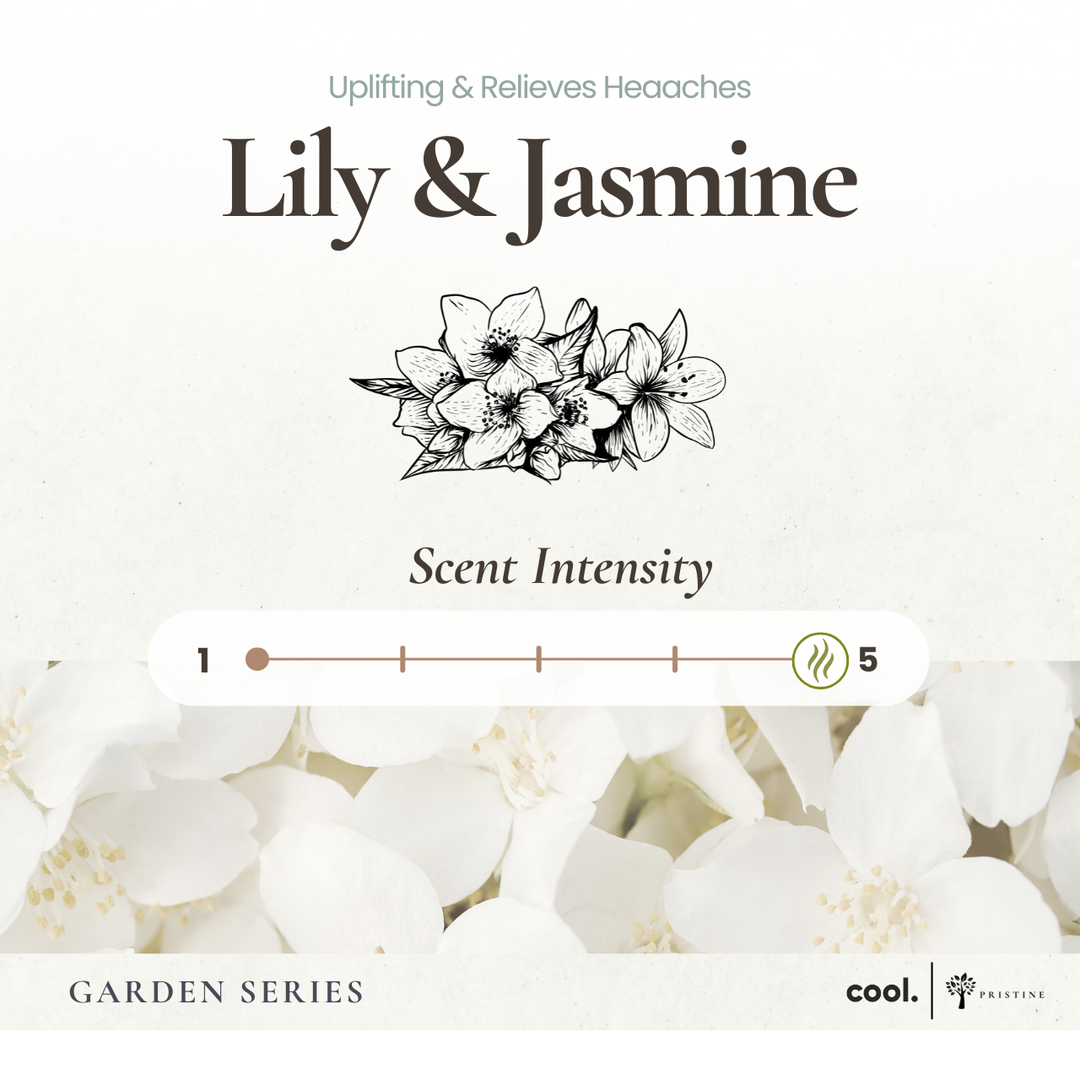 lily and jasmine flower Lily & Jasmine Reed Diffuser - 1.7oz
